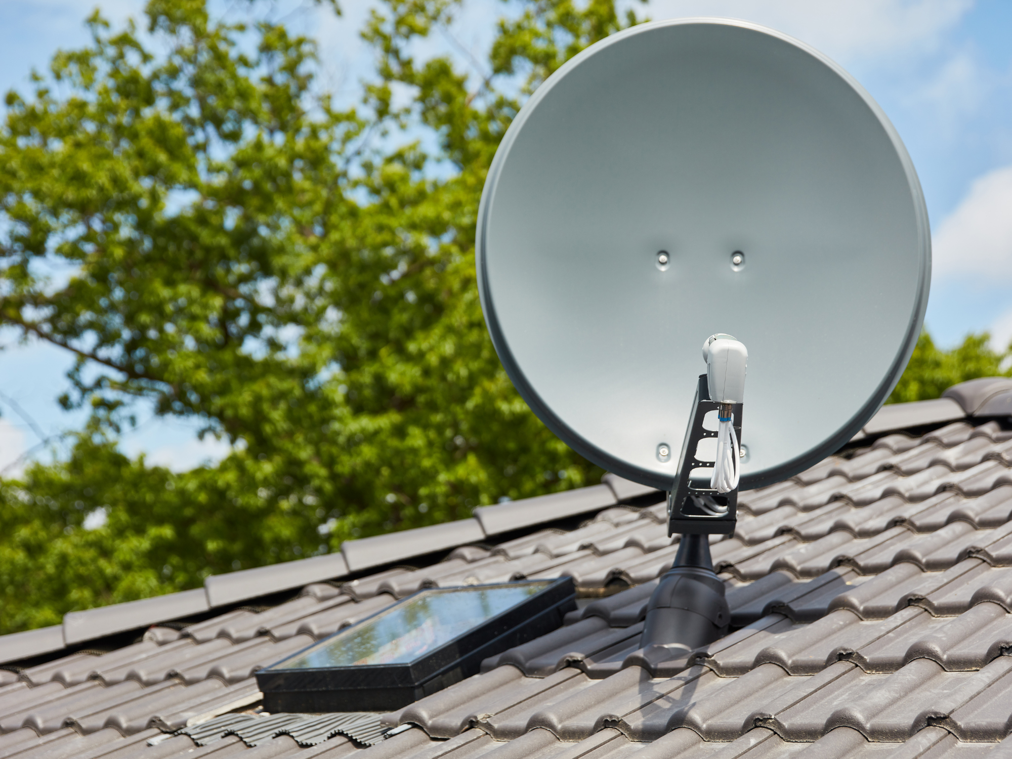 Hakkımızda(full-kutu-2)